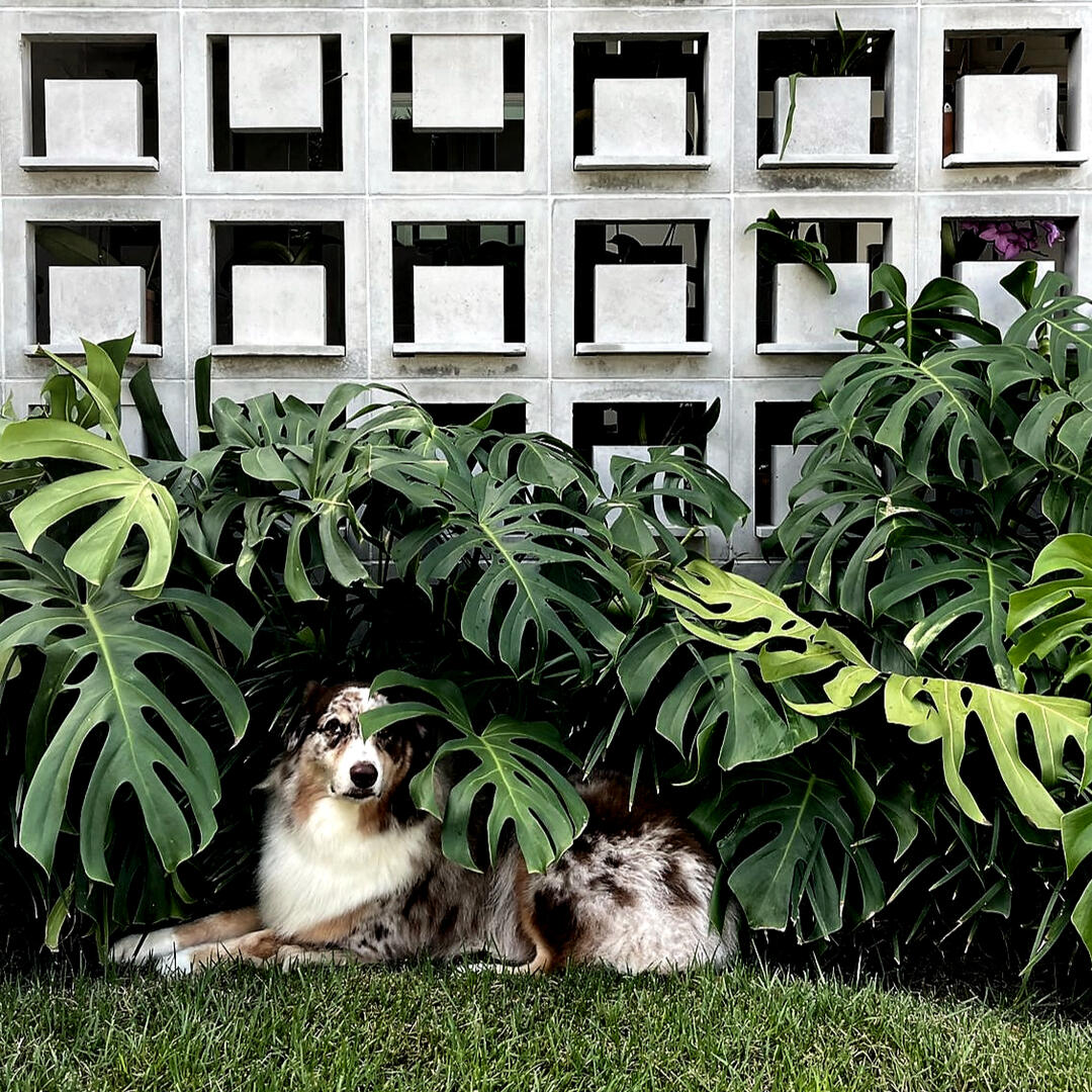 Itacoatiara, photo by Bárbara